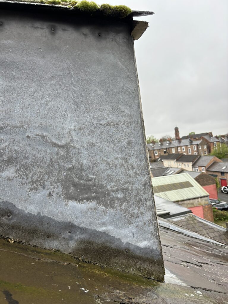 specific defect survey