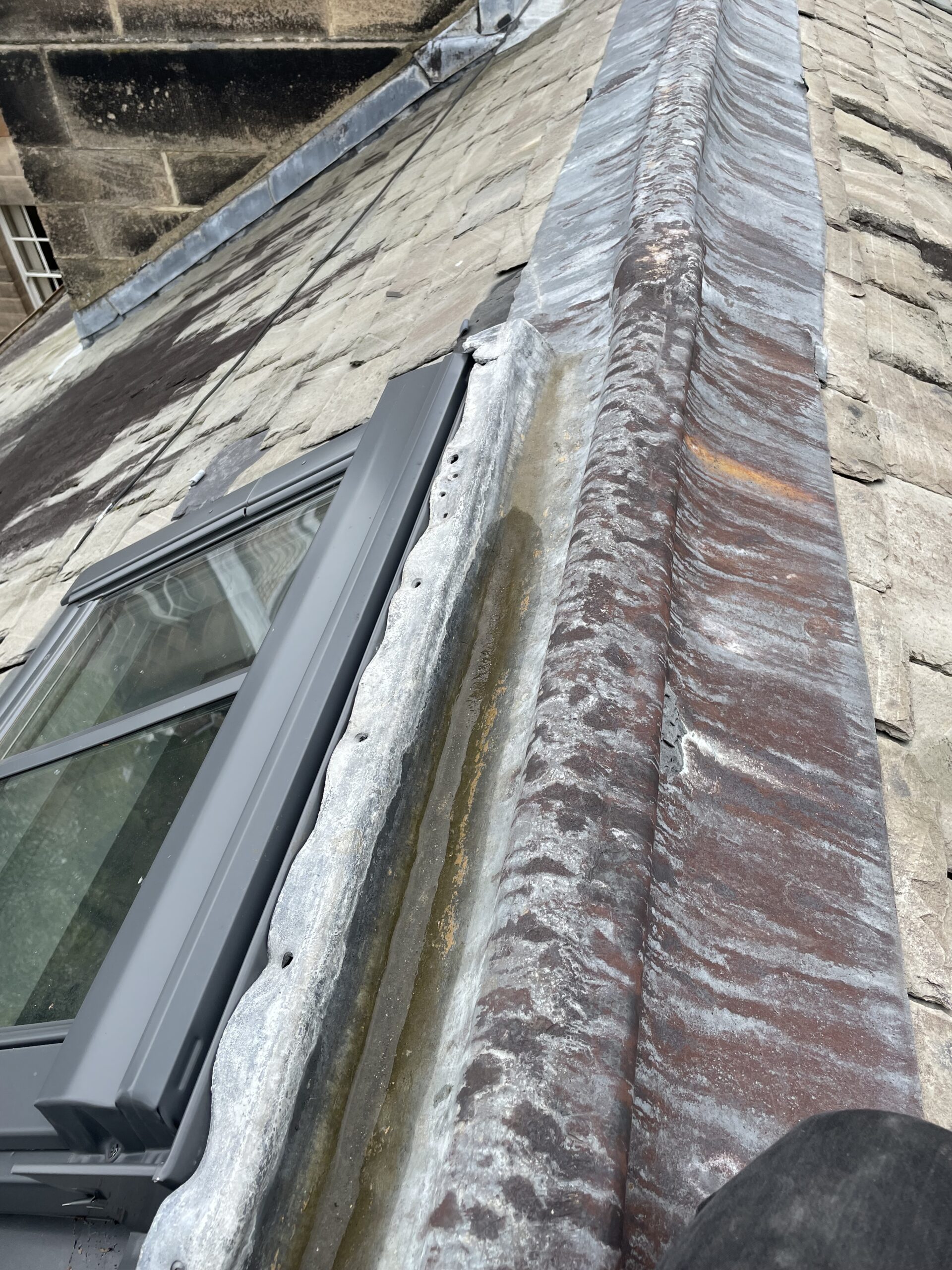 specific defect survey