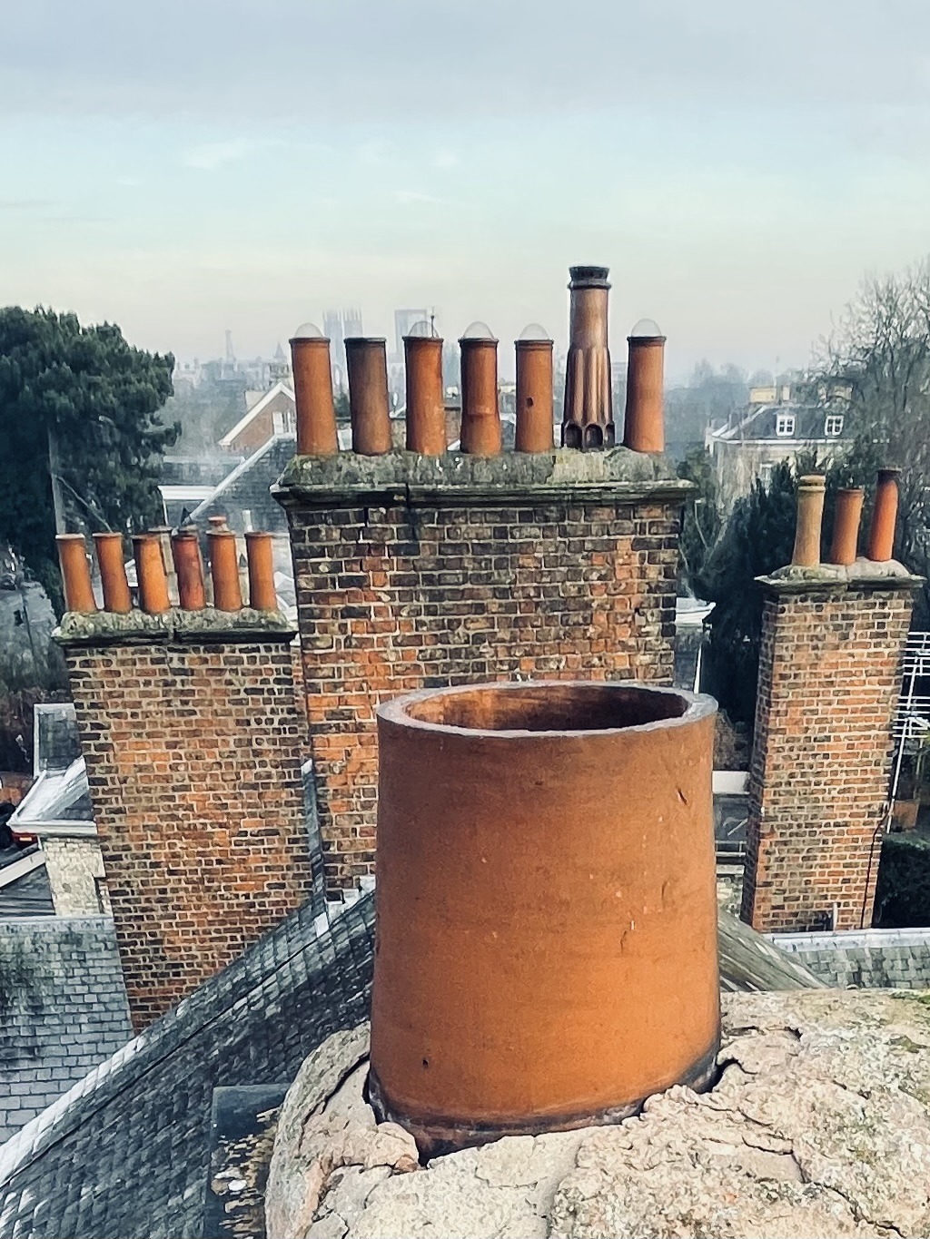 specific defect survey