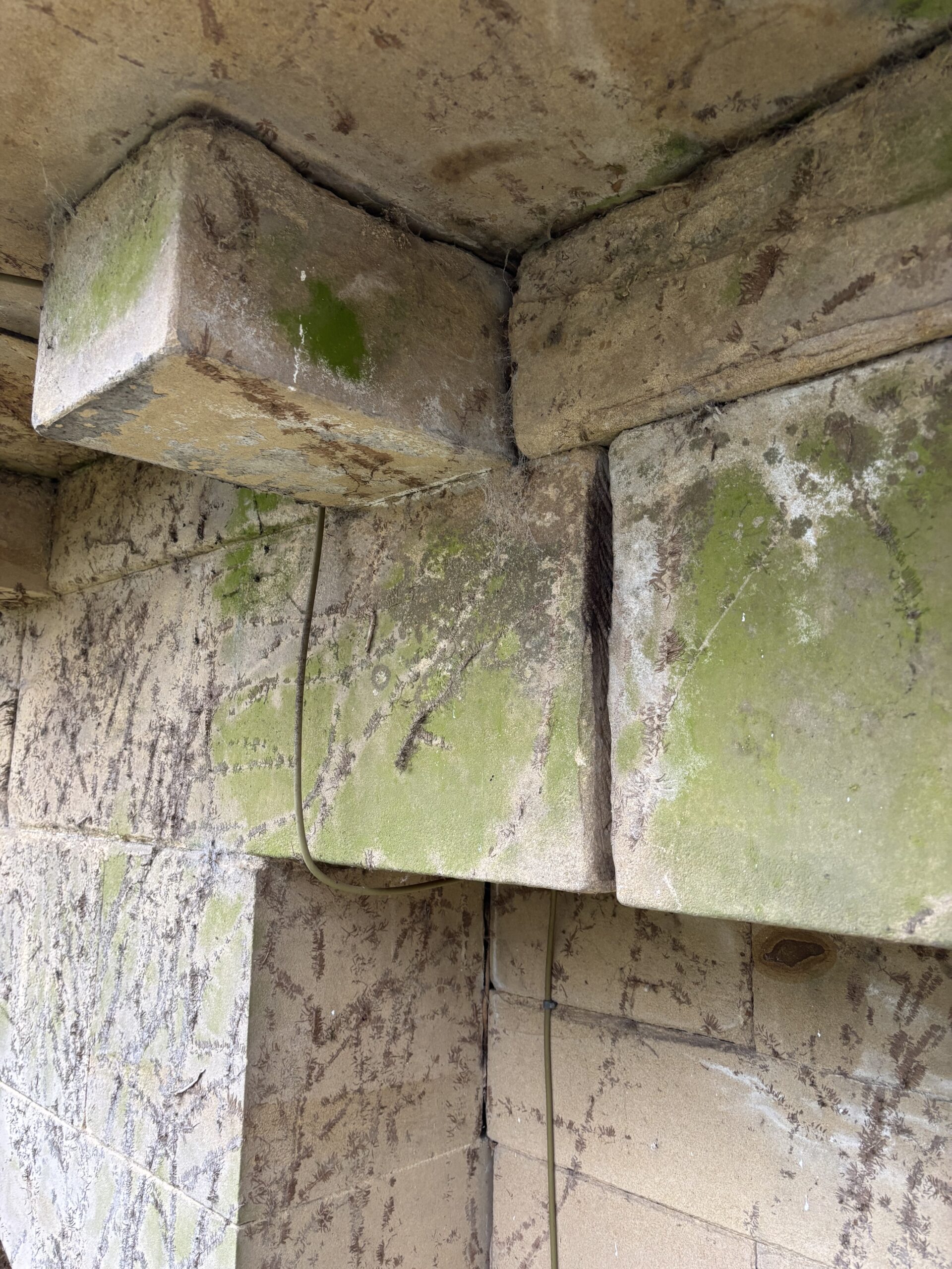 York surveyors
