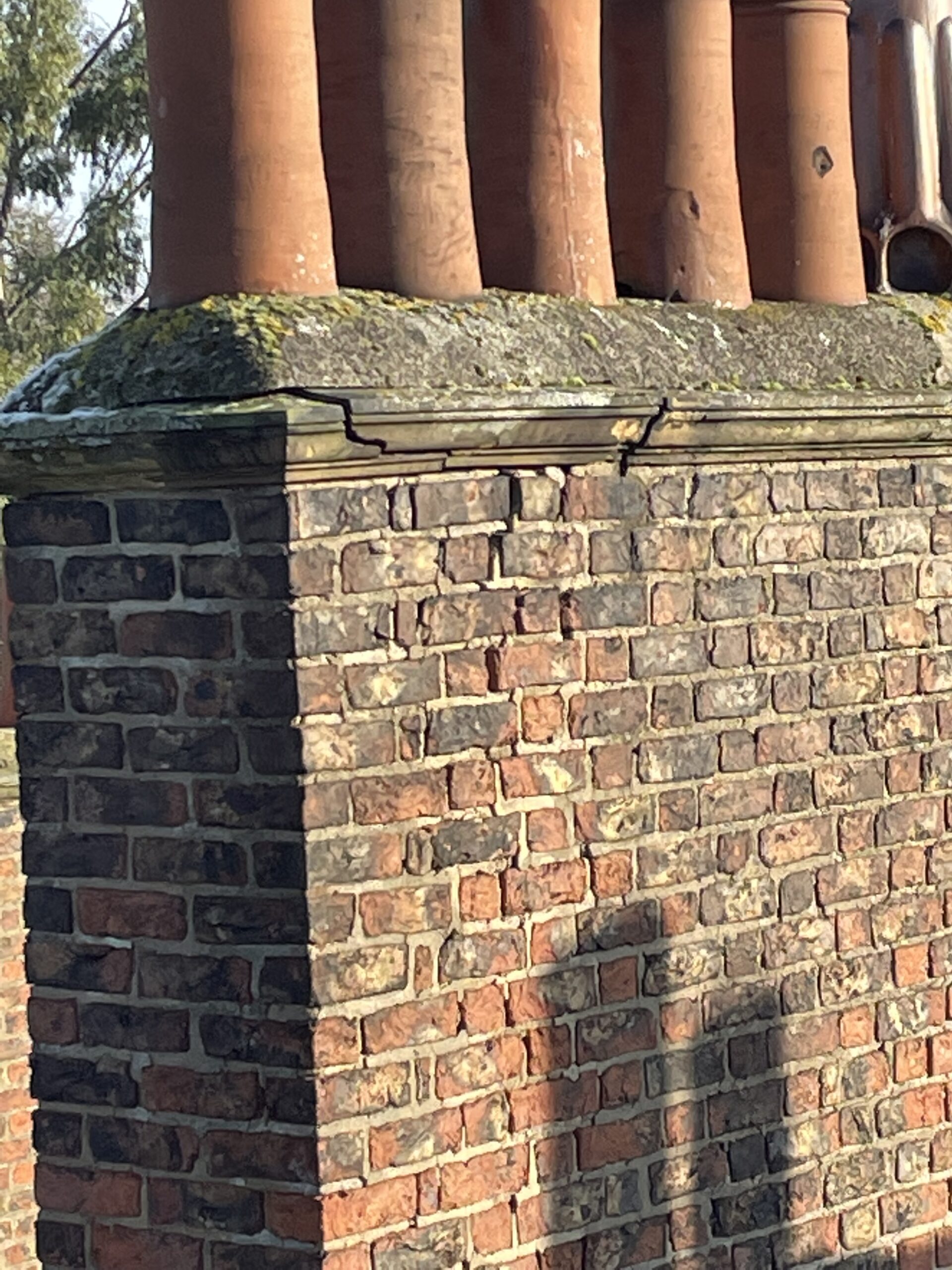 Specific Defect Survey