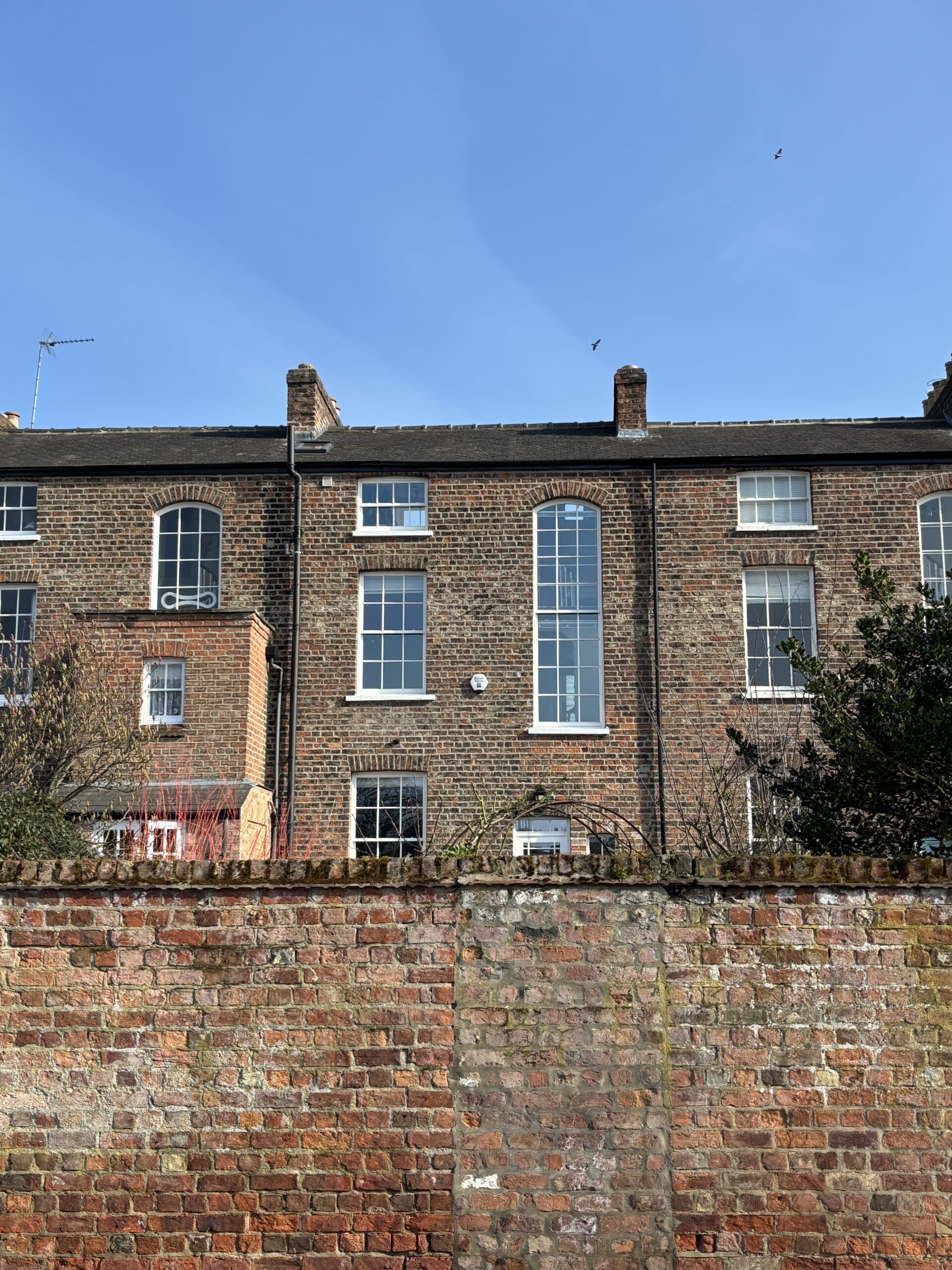 York Surveyor