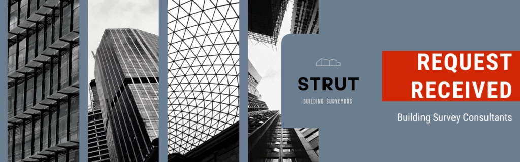 Strut Surveyors Received