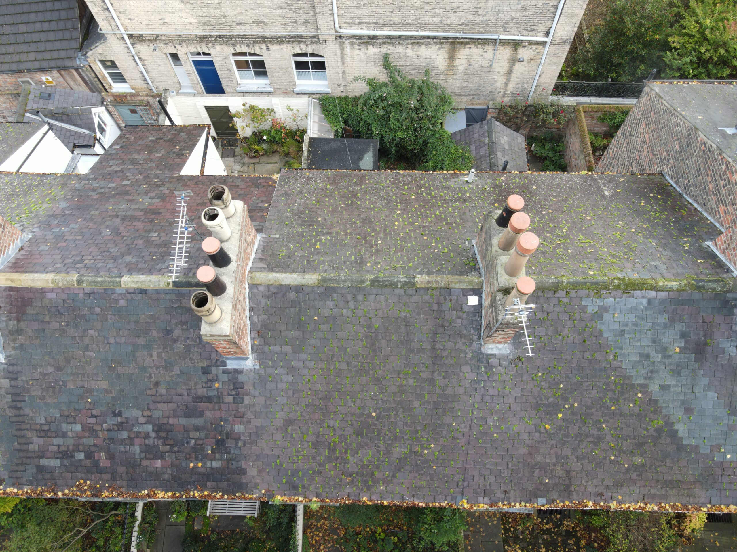 party wall survey guide