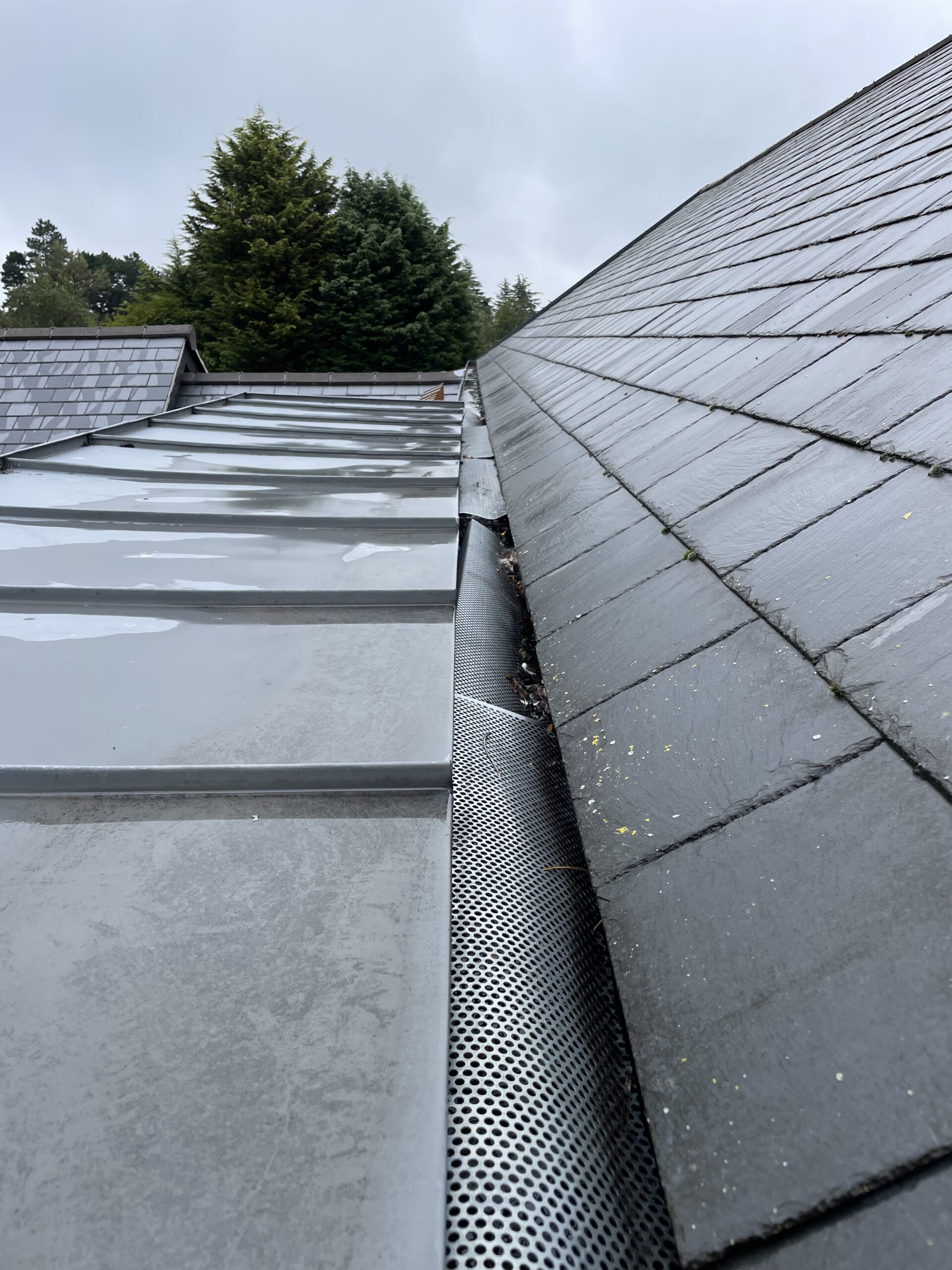 condensation and moisture risk