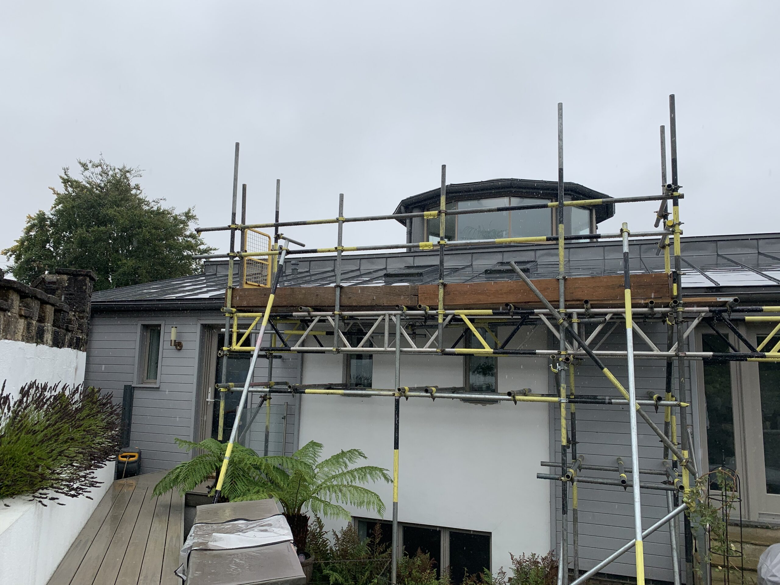 condensation survey