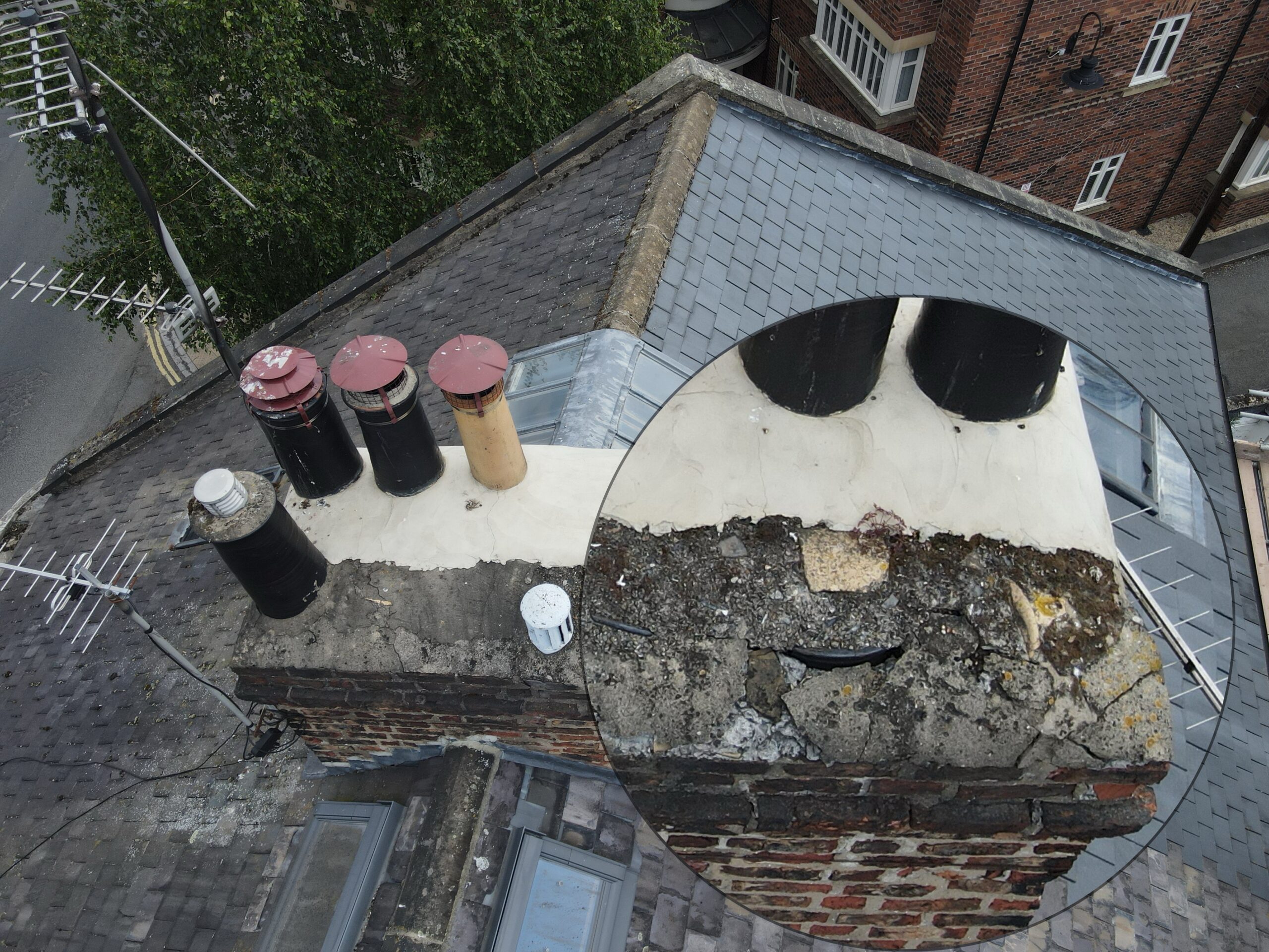 building pathology